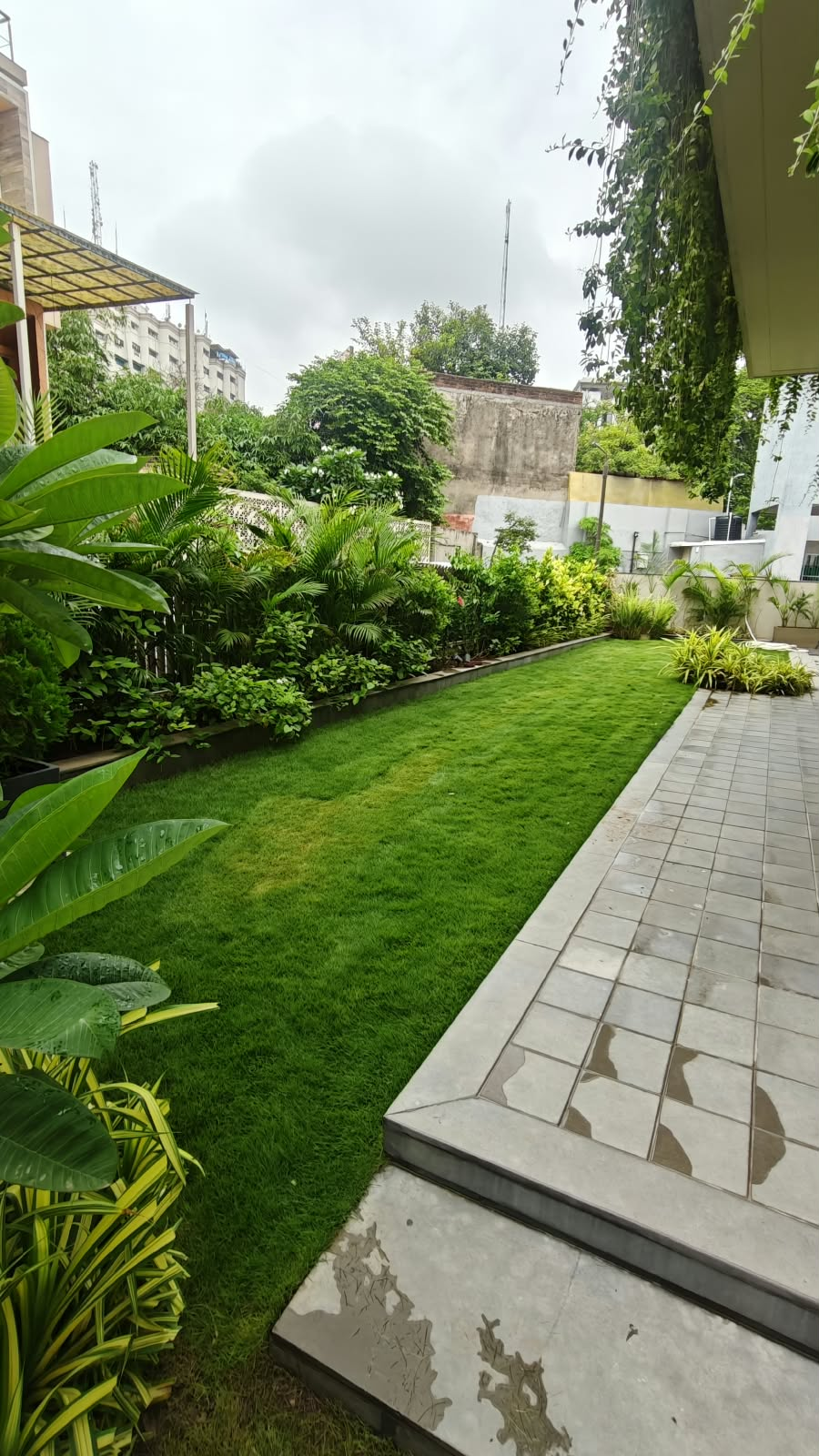 Tropical Courtyard