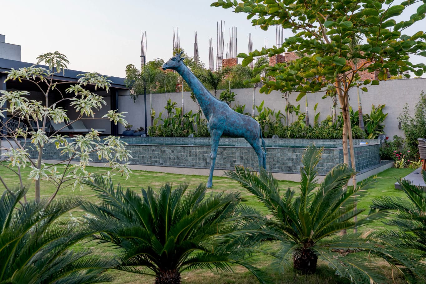 Tree Plantation & Avenue Plantation