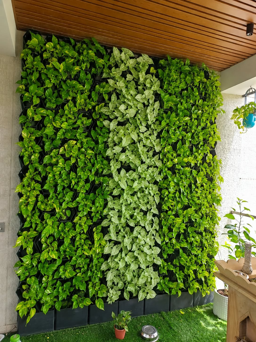 Vertical Green Wall