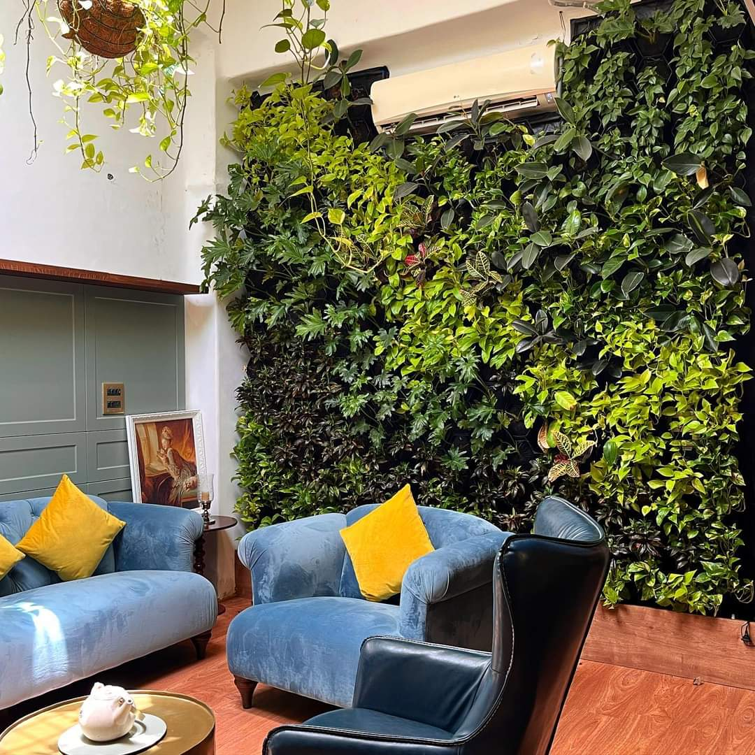 Indoor Plant Styling & Green Décor
